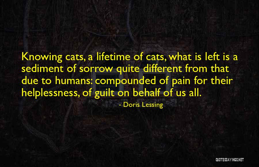 Forecasters Predict Quotes By Doris Lessing Forecasters Predict Quotes By Doris Lessing