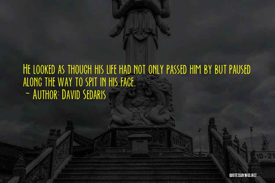 Forecheck Small Quotes By David Sedaris