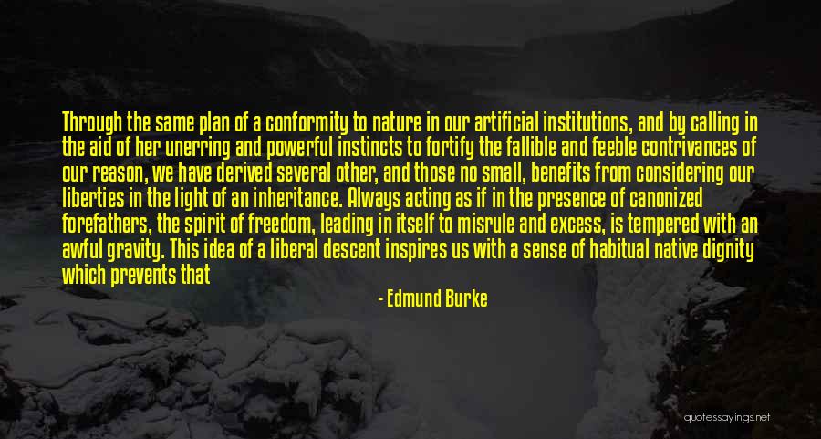 Forefathers Freedom Quotes By Edmund Burke Forefathers Freedom Quotes By Edmund Burke