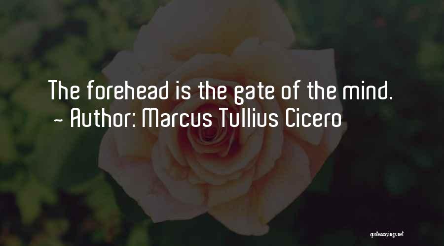 Foreheads Quotes By Marcus Tullius Cicero