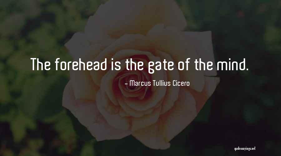 Foreheads Quotes By Marcus Tullius Cicero