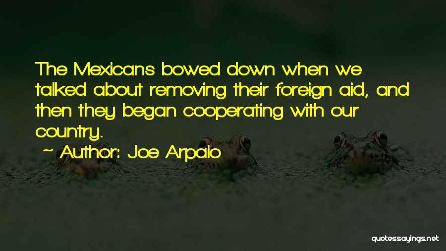 Foreign Aid Quotes By Joe Arpaio