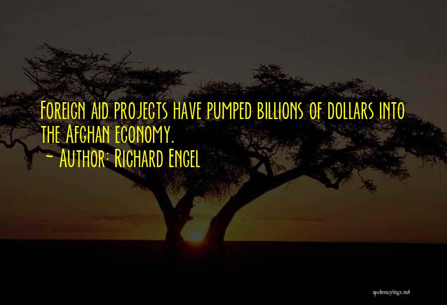 Foreign Aid Quotes By Richard Engel