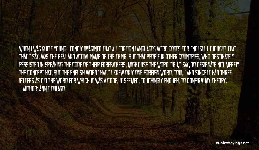 Foreign Countries Quotes By Annie Dillard
