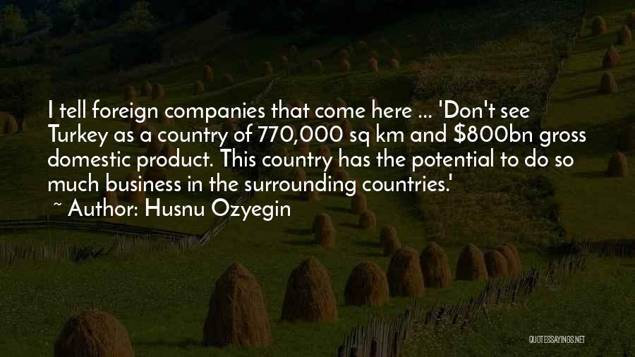 Foreign Countries Quotes By Husnu Ozyegin