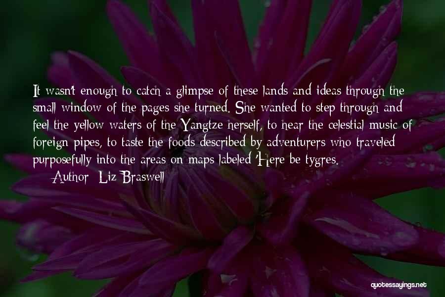 Foreign Lands Quotes By Liz Braswell