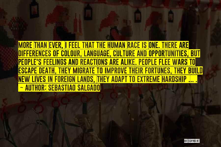 Foreign Lands Quotes By Sebastiao Salgado