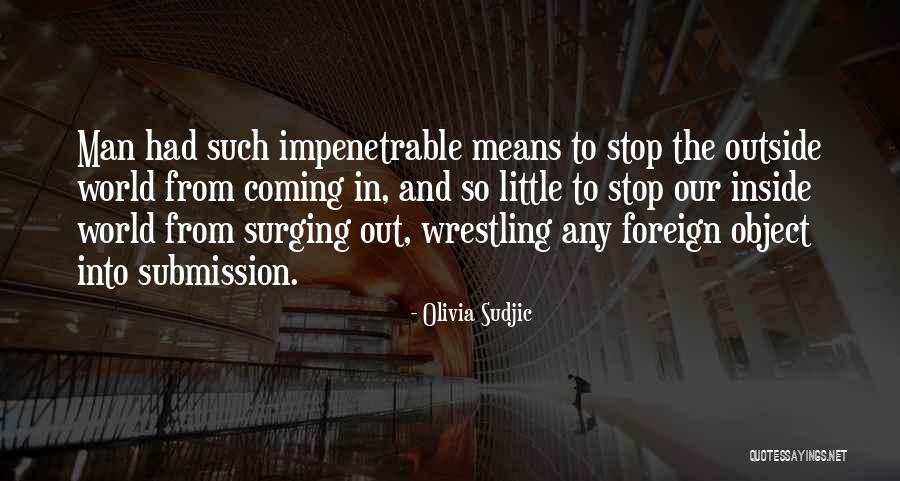 Foreign Object Quotes By Olivia Sudjic Foreign Object Quotes By Olivia Sudjic