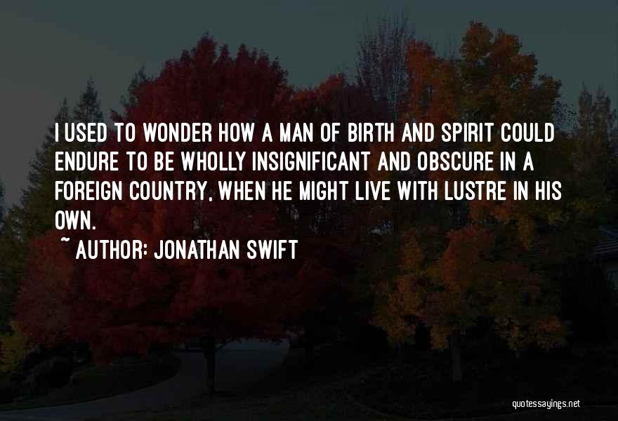 Foreign Travel Quotes By Jonathan Swift