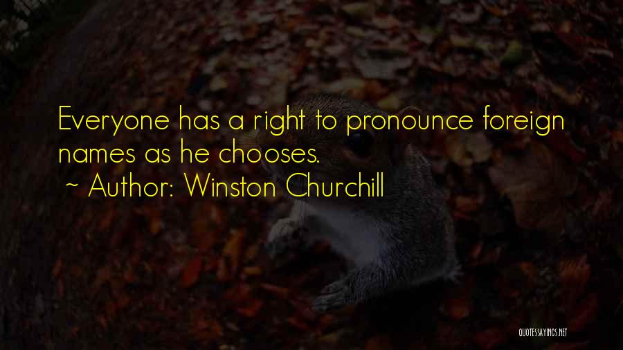 Foreign Travel Quotes By Winston Churchill