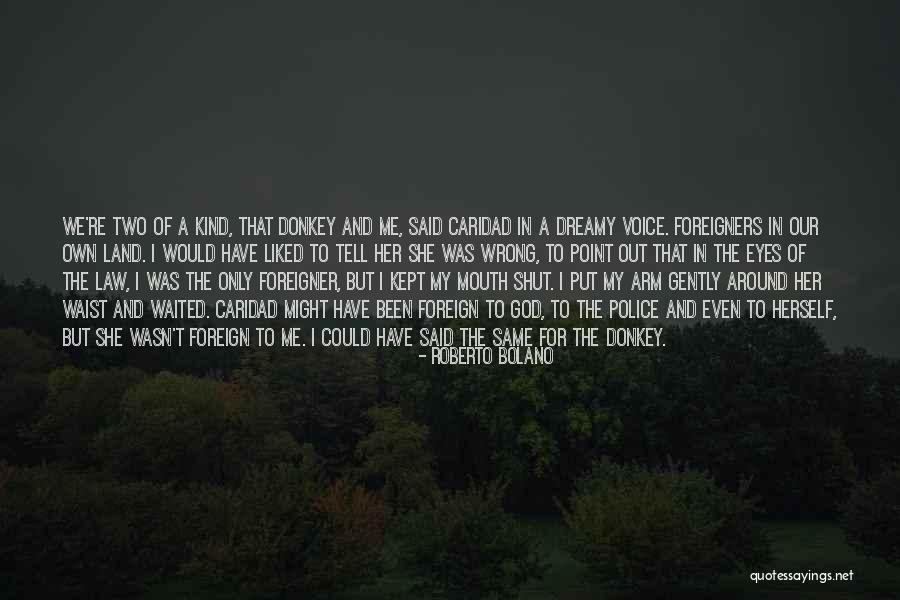 Foreigners Quotes By Roberto Bolano