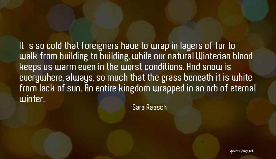 Foreigners Quotes By Sara Raasch