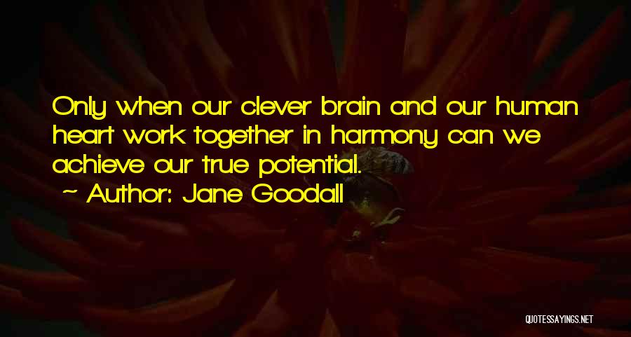 Foreseer Synonyms Quotes By Jane Goodall