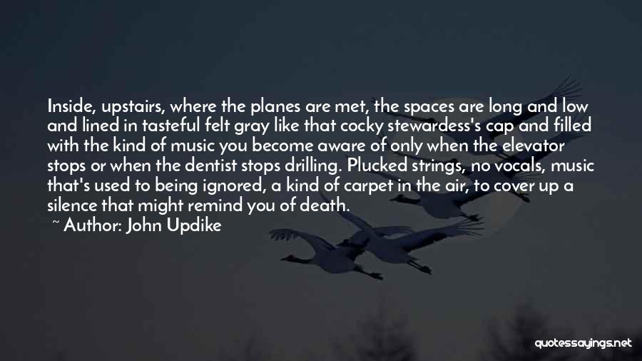 Foreshadowing Quotes By John Updike