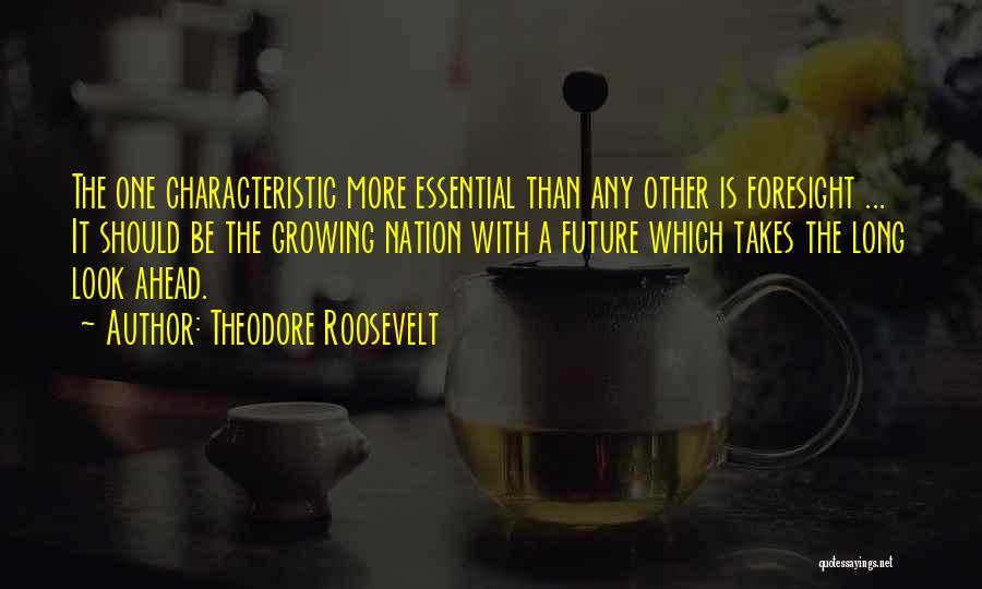 Foresight Future Quotes By Theodore Roosevelt