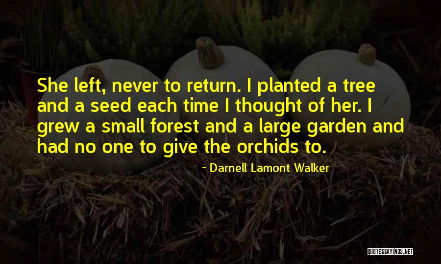 Forest And Love Quotes By Darnell Lamont Walker