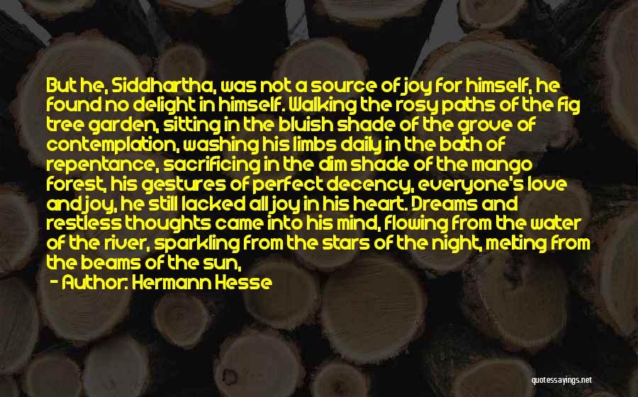 Forest And Love Quotes By Hermann Hesse