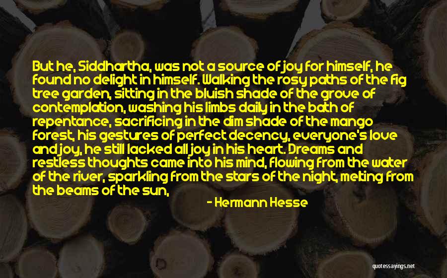 Forest And Love Quotes By Hermann Hesse