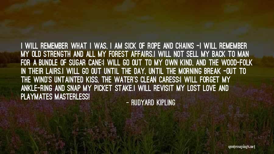 Forest And Love Quotes By Rudyard Kipling