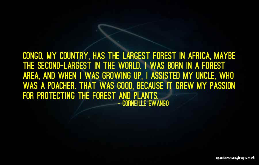 Forest Born Quotes By Corneille Ewango