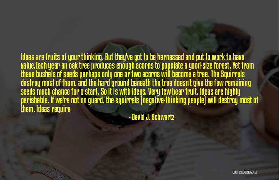 Forest Born Quotes By David J. Schwartz