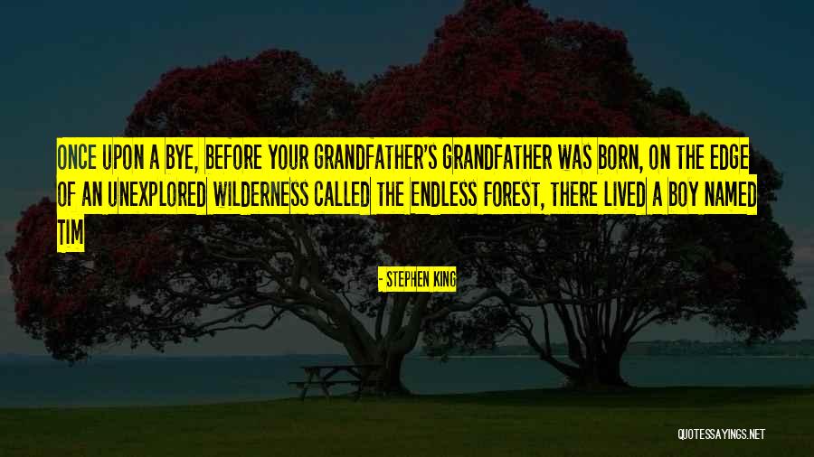 Forest Born Quotes By Stephen King