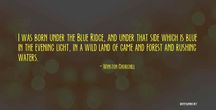 Forest Born Quotes By Winston Churchill