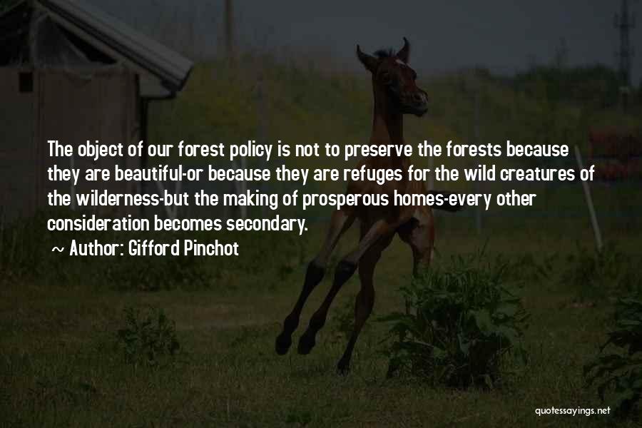 Forest Creatures Quotes By Gifford Pinchot