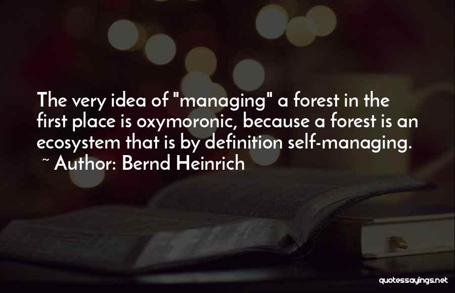 Forest Ecosystem Quotes By Bernd Heinrich
