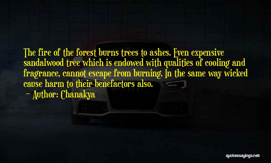 Forest Fire Quotes By Chanakya