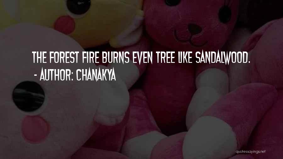 Forest Fire Quotes By Chanakya