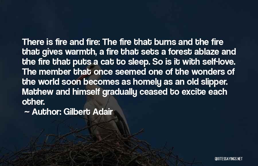 Forest Fire Quotes By Gilbert Adair