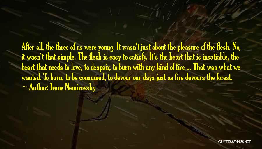 Forest Fire Quotes By Irene Nemirovsky