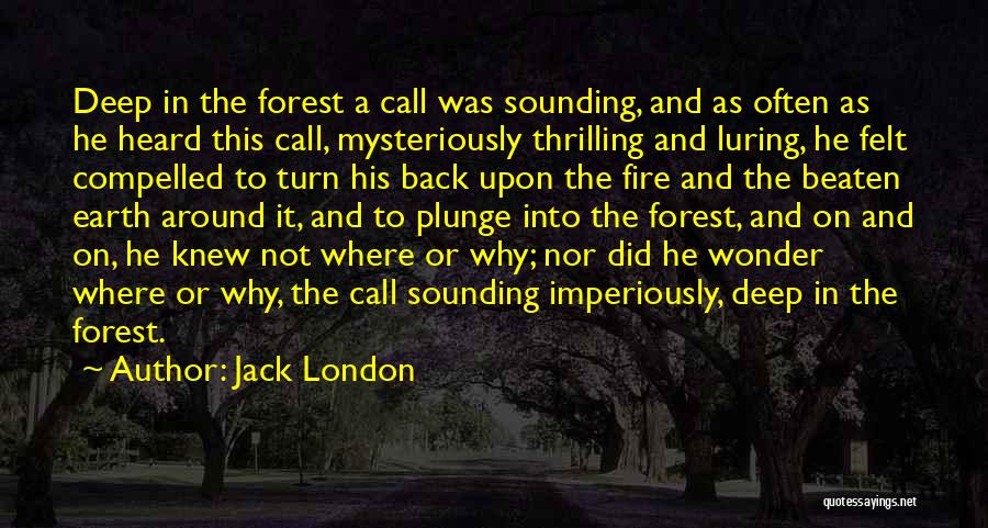 Forest Fire Quotes By Jack London