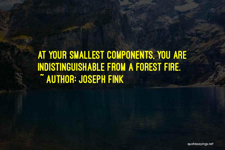 Forest Fire Quotes By Joseph Fink