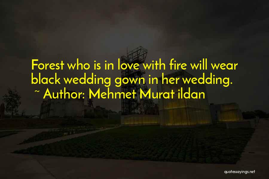 Forest Fire Quotes By Mehmet Murat Ildan