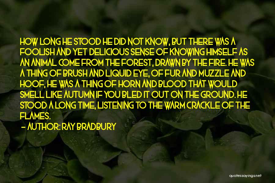 Forest Fire Quotes By Ray Bradbury