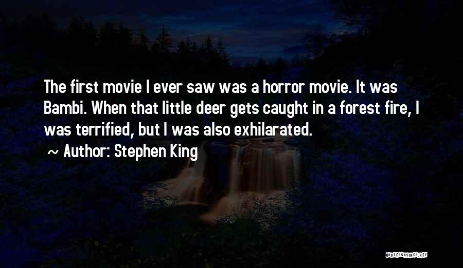 Forest Fire Quotes By Stephen King