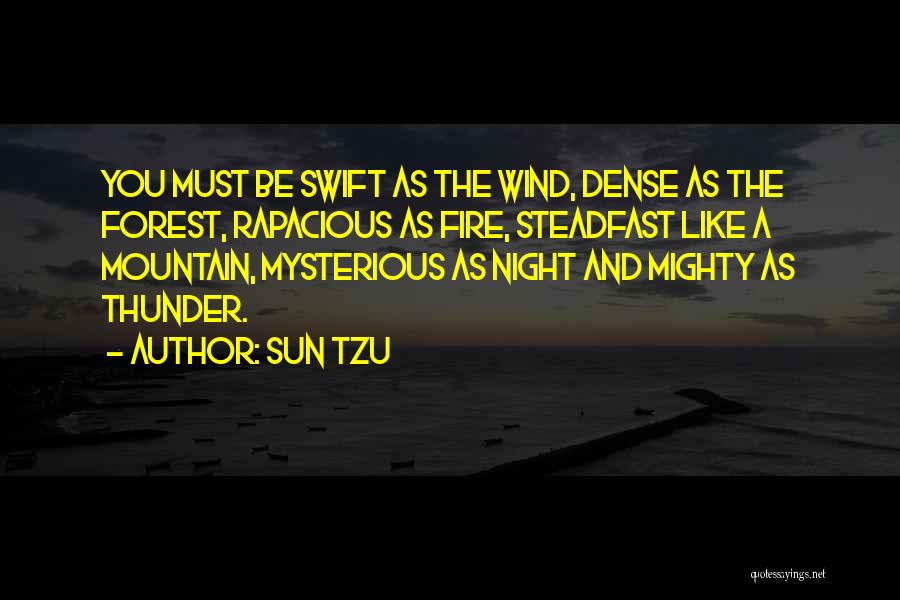Forest Fire Quotes By Sun Tzu