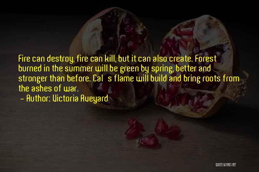 Forest Fire Quotes By Victoria Aveyard