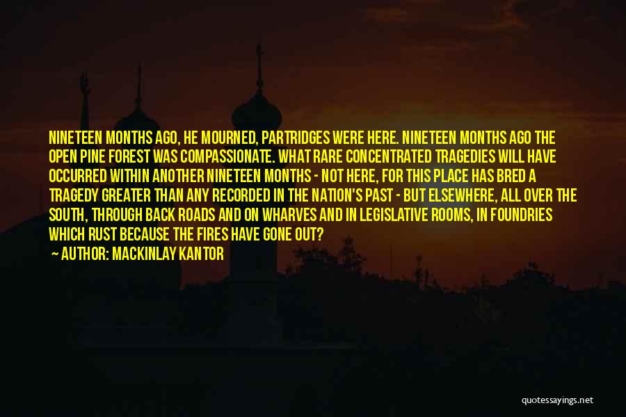 Forest Fires Quotes By MacKinlay Kantor