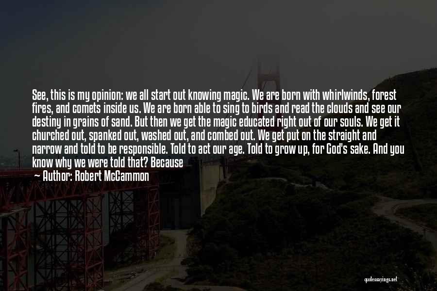 Forest Fires Quotes By Robert McCammon