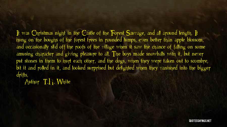 Forest Fires Quotes By T.H. White