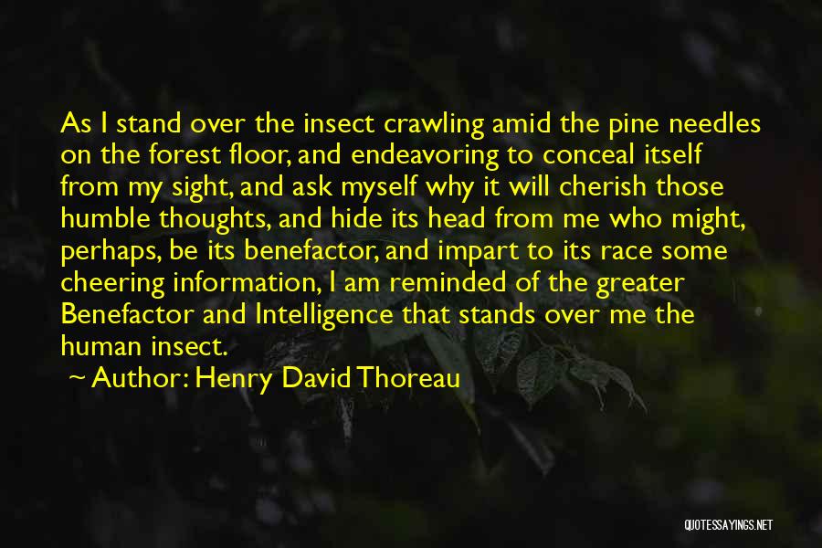 Forest Floor Quotes By Henry David Thoreau