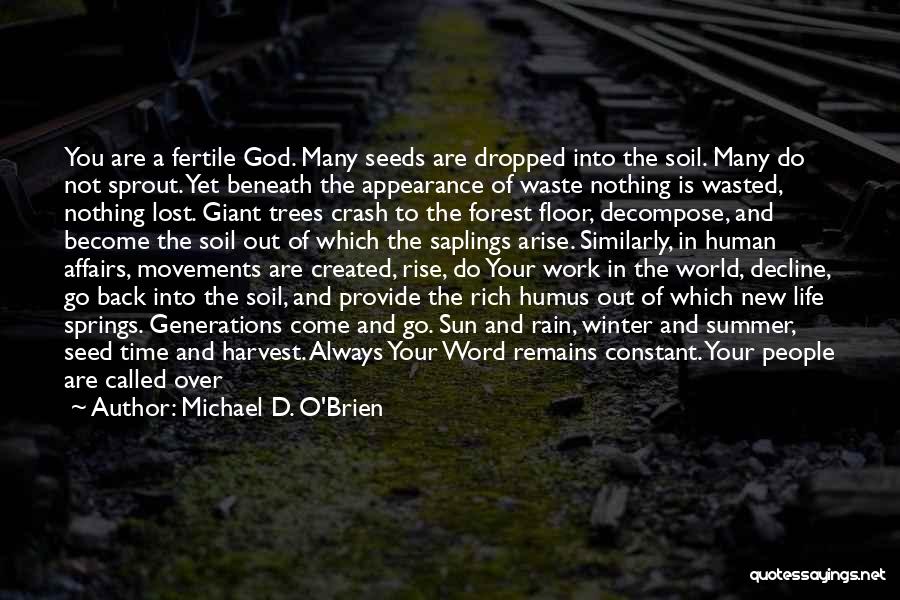 Forest Floor Quotes By Michael D. O'Brien