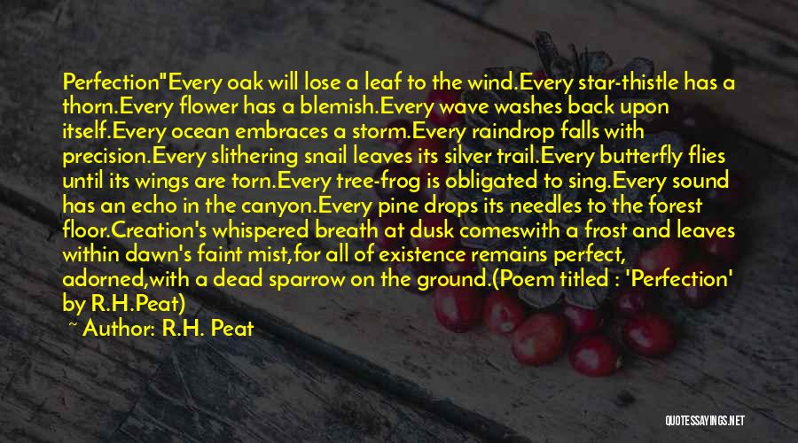 Forest Floor Quotes By R.H. Peat