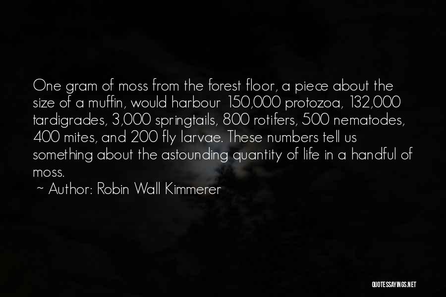 Forest Floor Quotes By Robin Wall Kimmerer