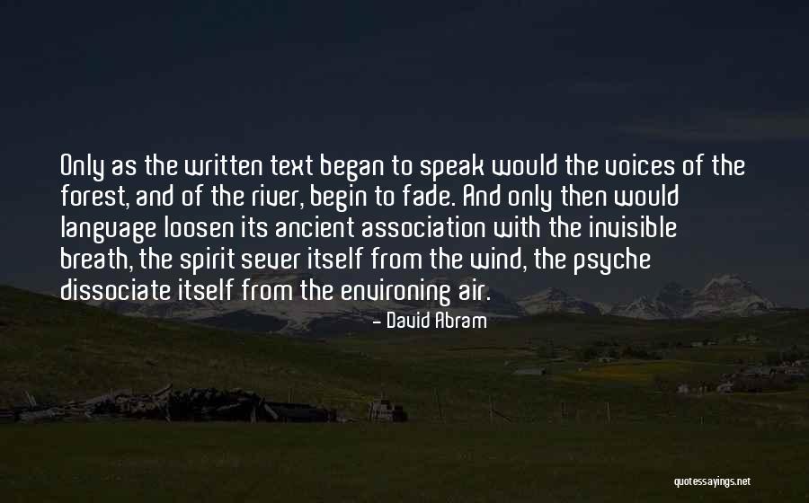 Forest River Quotes By David Abram Forest River Quotes By David Abram