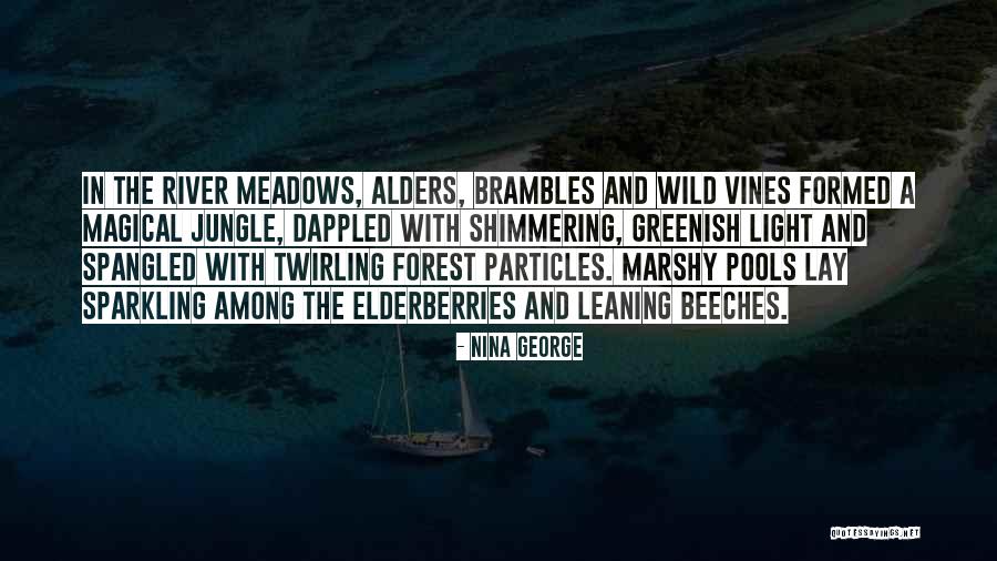 Forest River Quotes By Nina George Forest River Quotes By Nina George