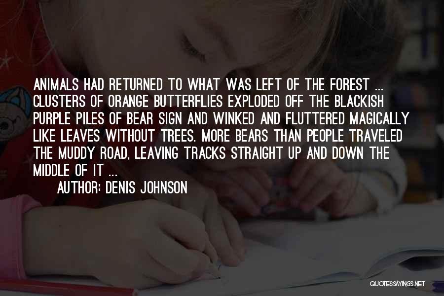 Forest Road Quotes By Denis Johnson